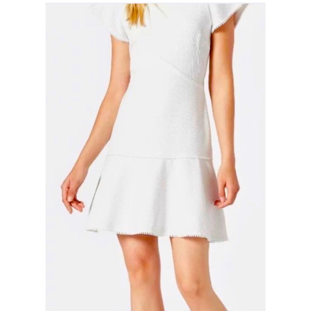 {NWT} Joie Cybele dress in porcelain color